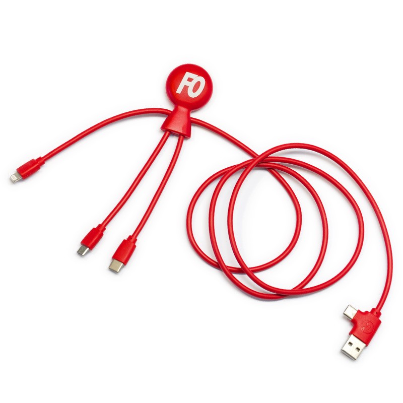 Câble USB de Recharge « Tout en un »